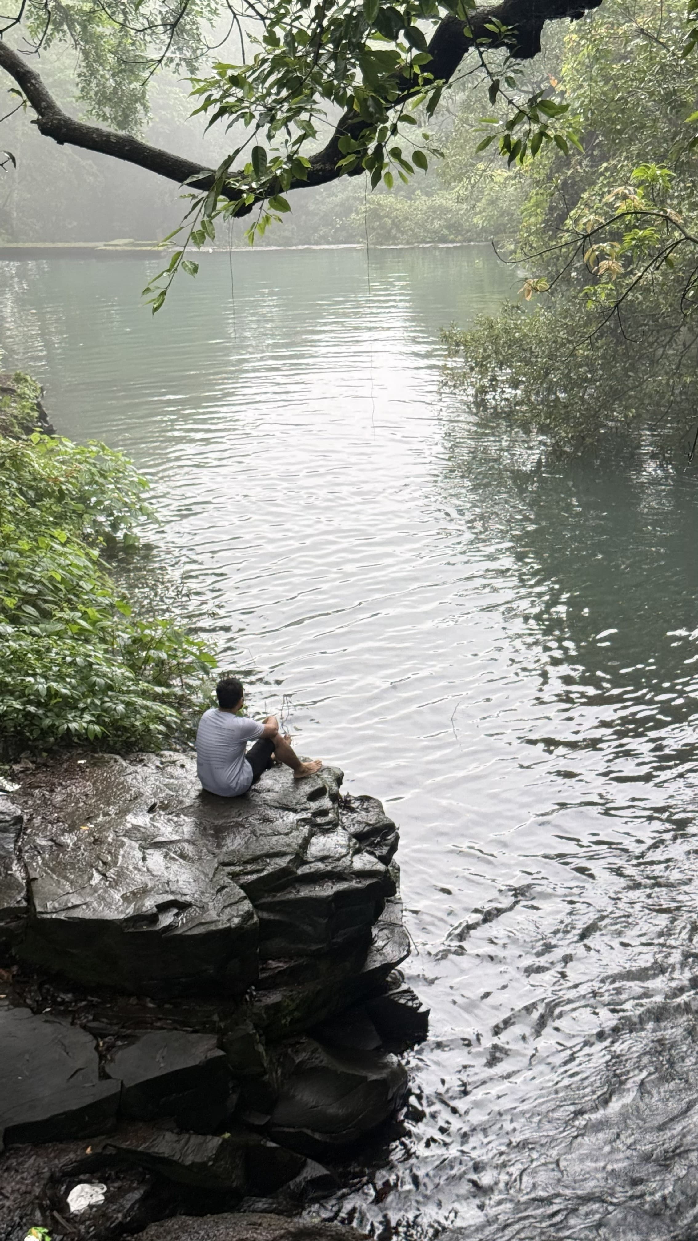 Greenery surroundings
