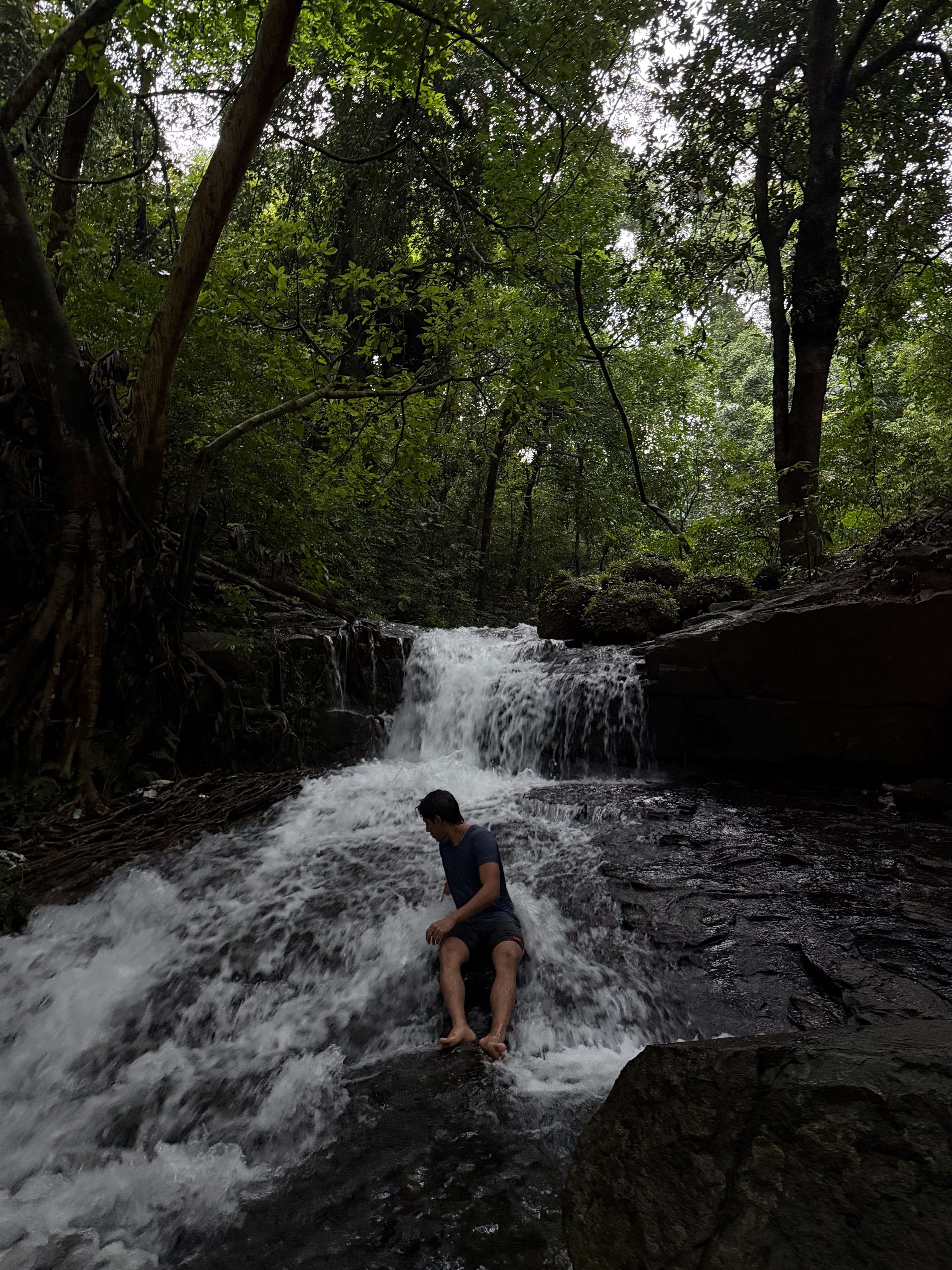 Greenery surroundings