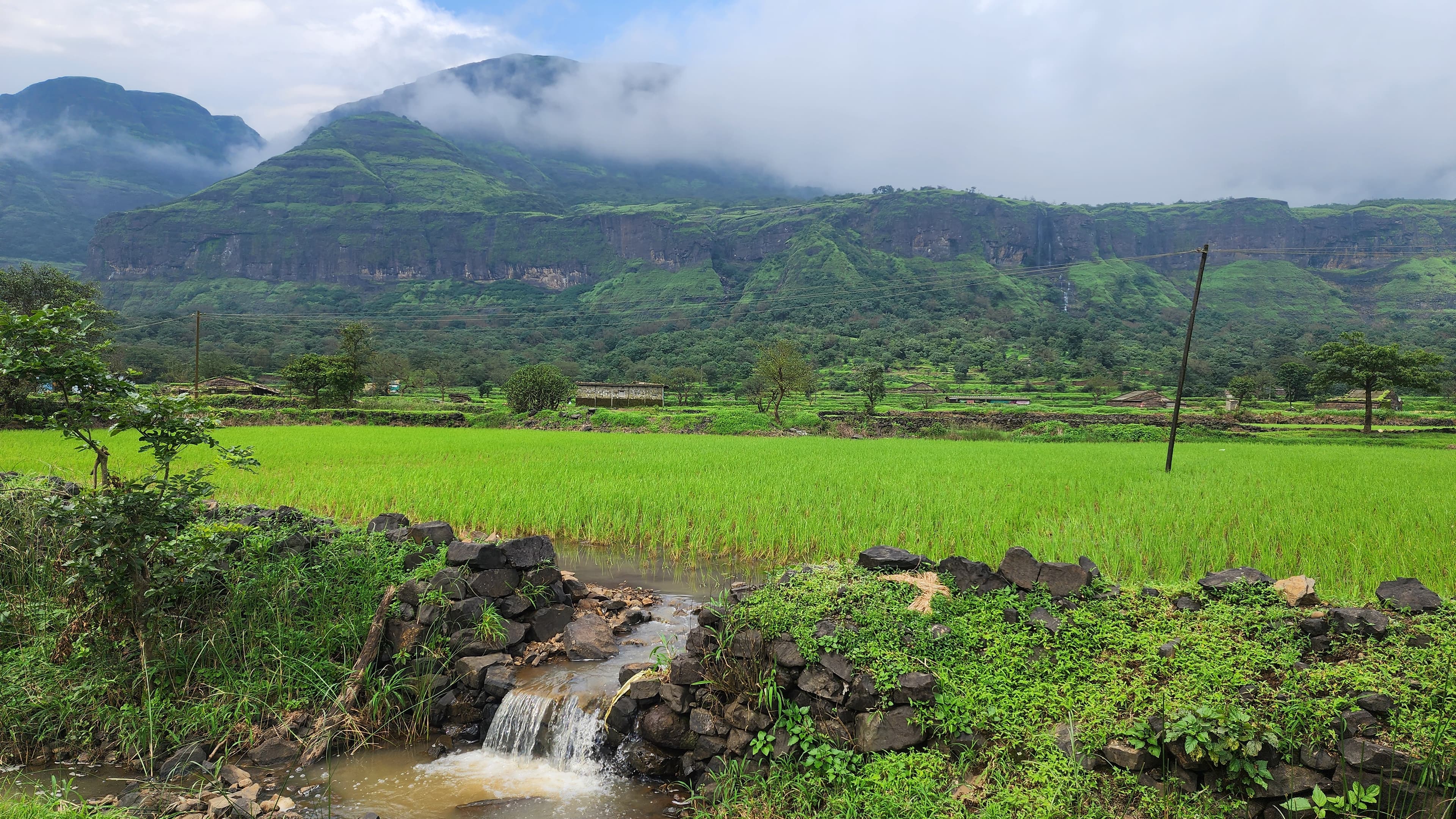 Monsoon streams