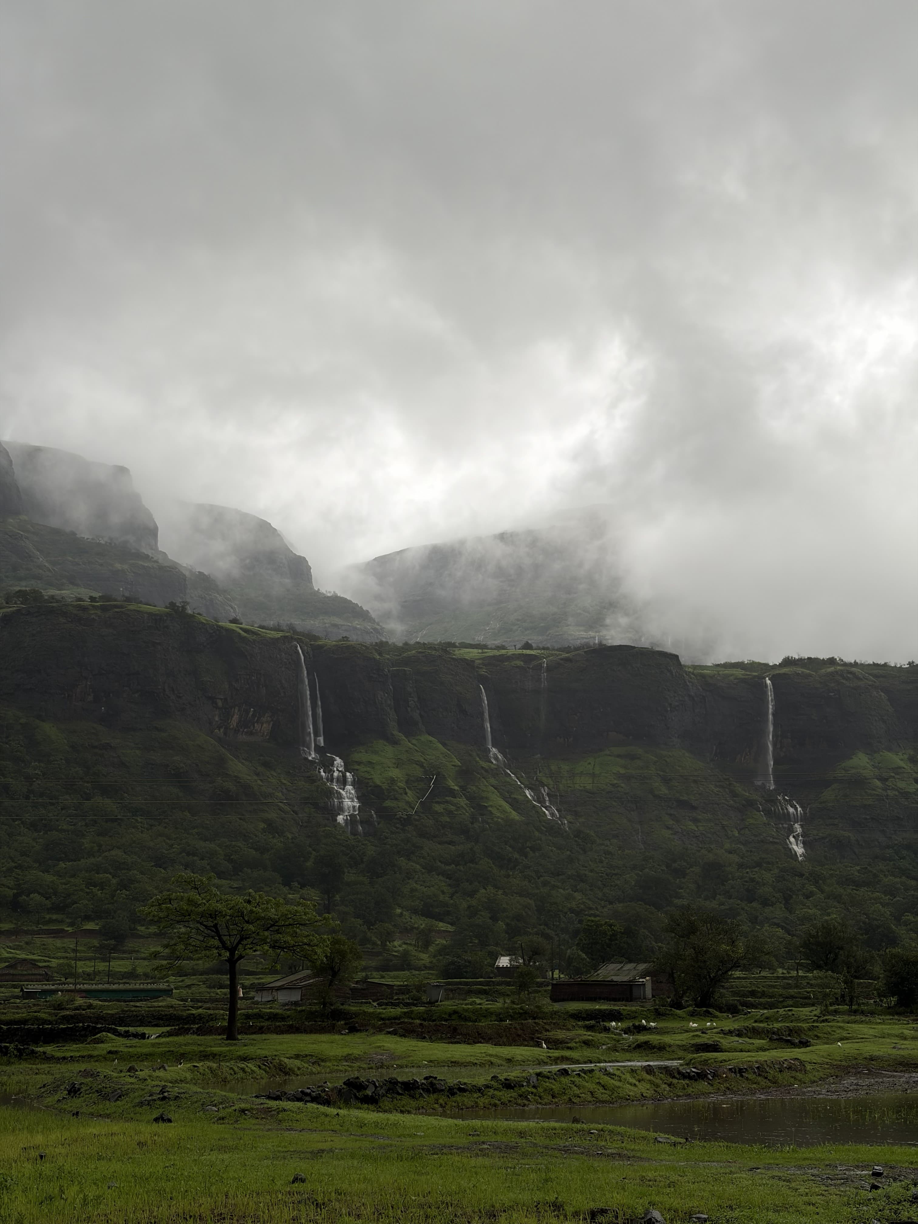 Monsoon streams
