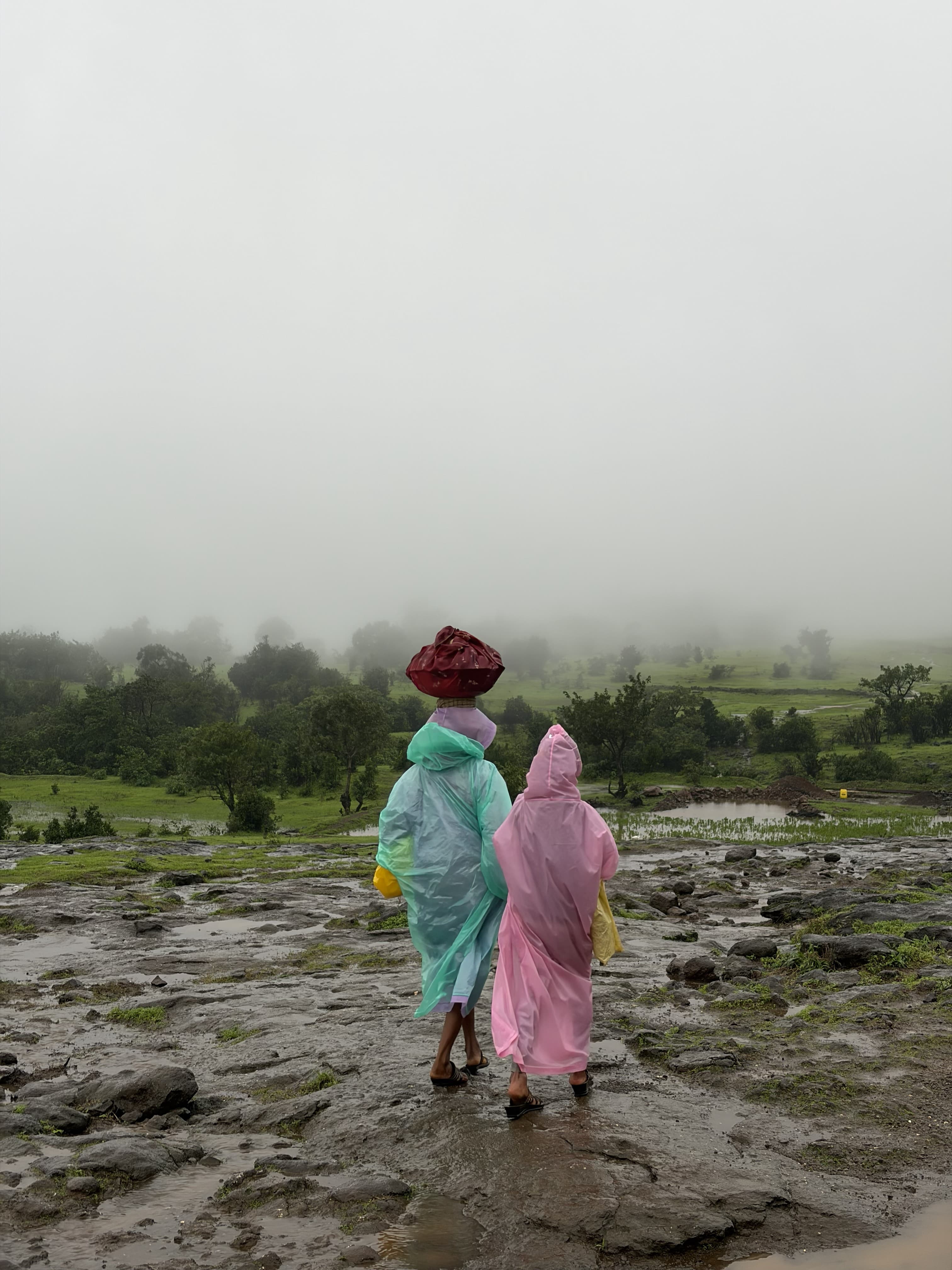Monsoon streams
