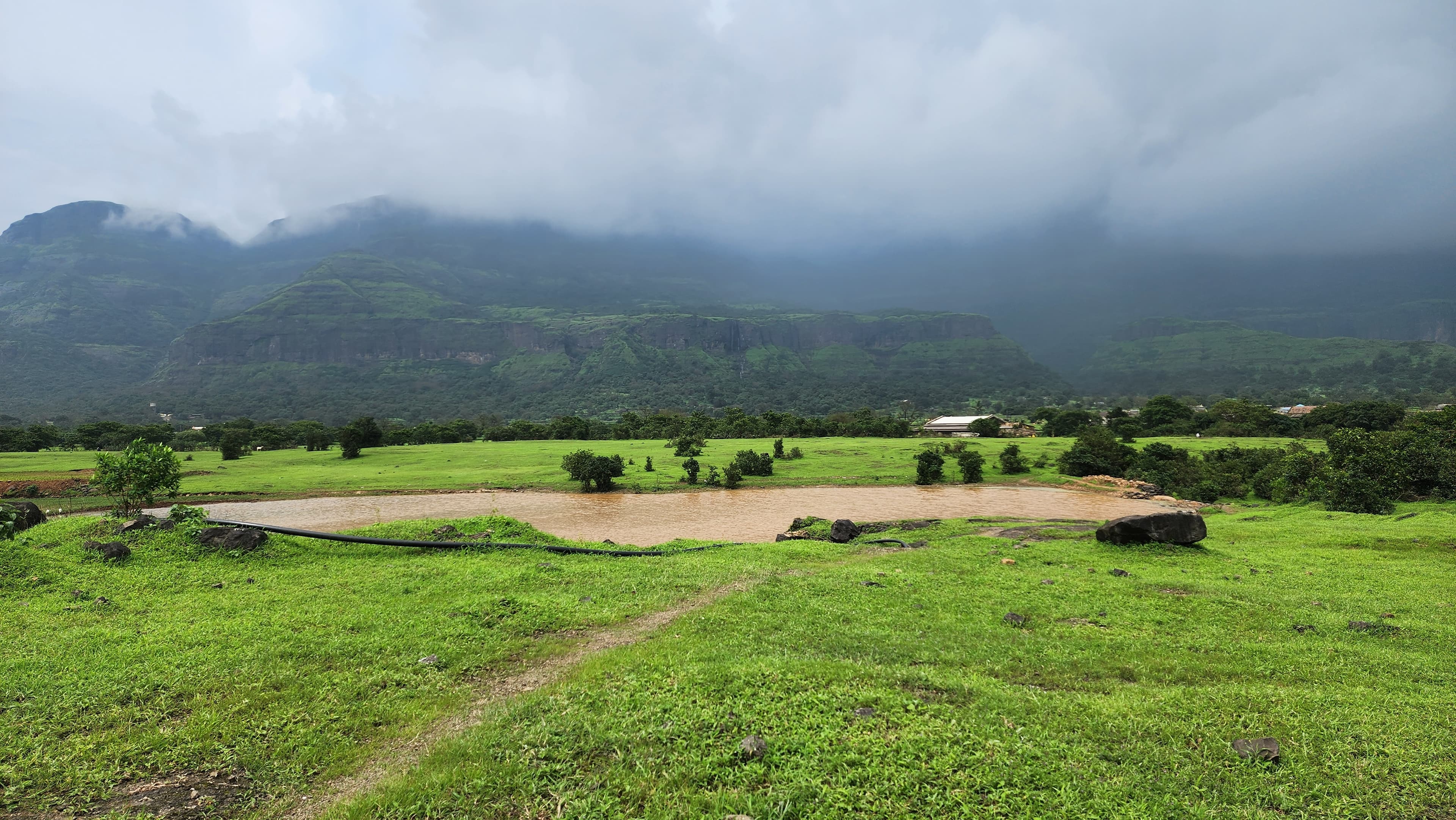 Monsoon streams