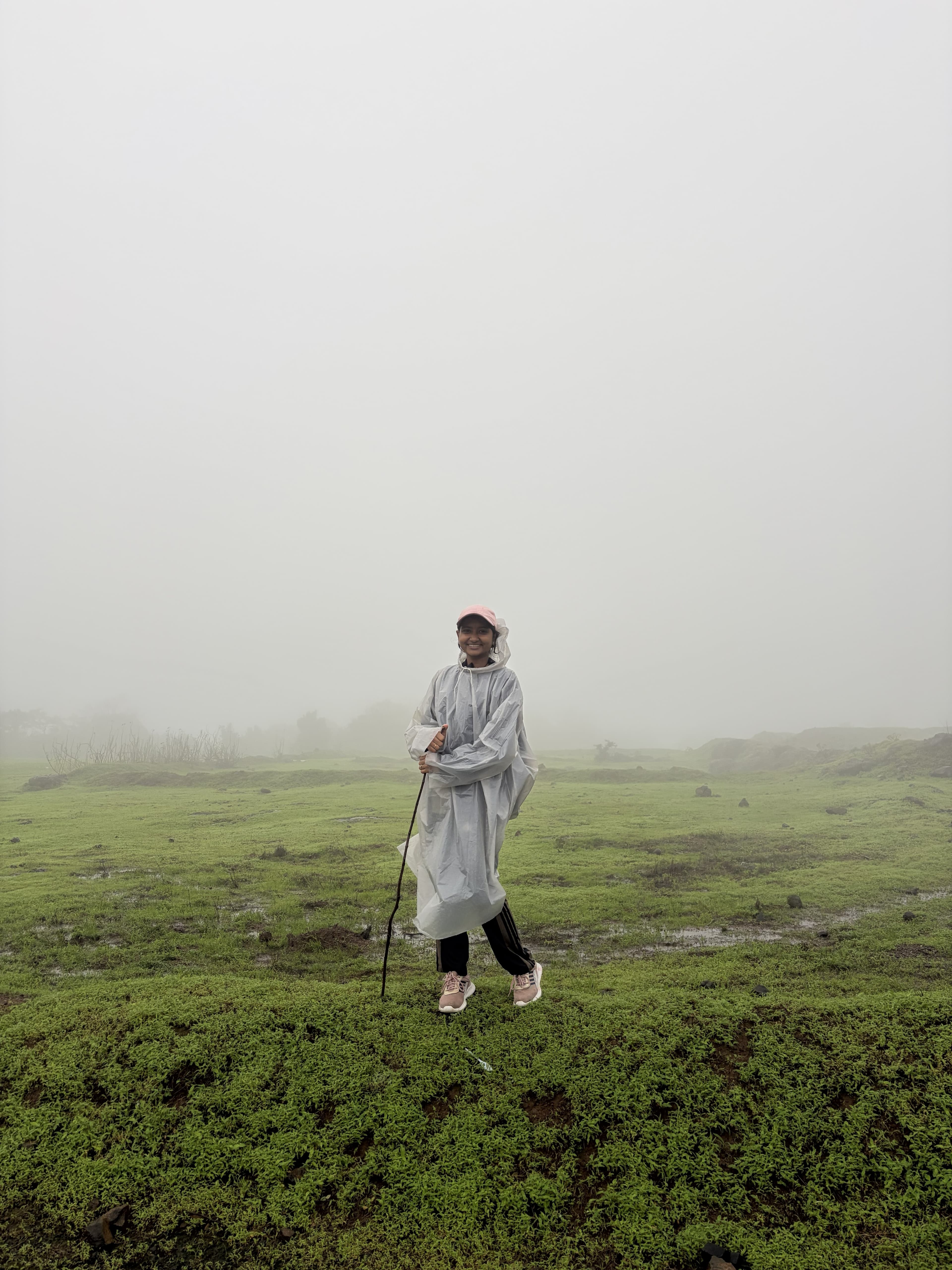 Monsoon streams