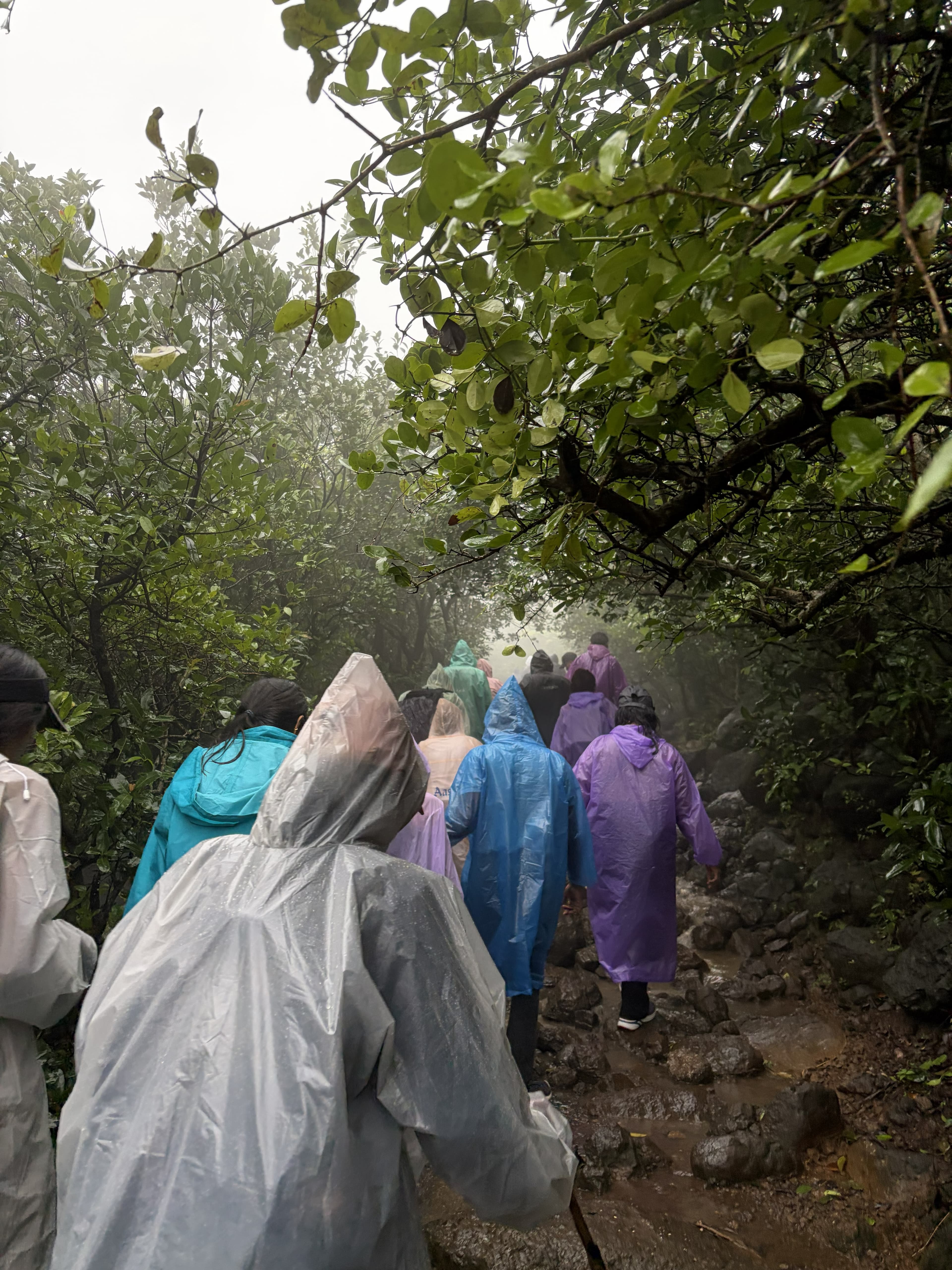 Monsoon streams