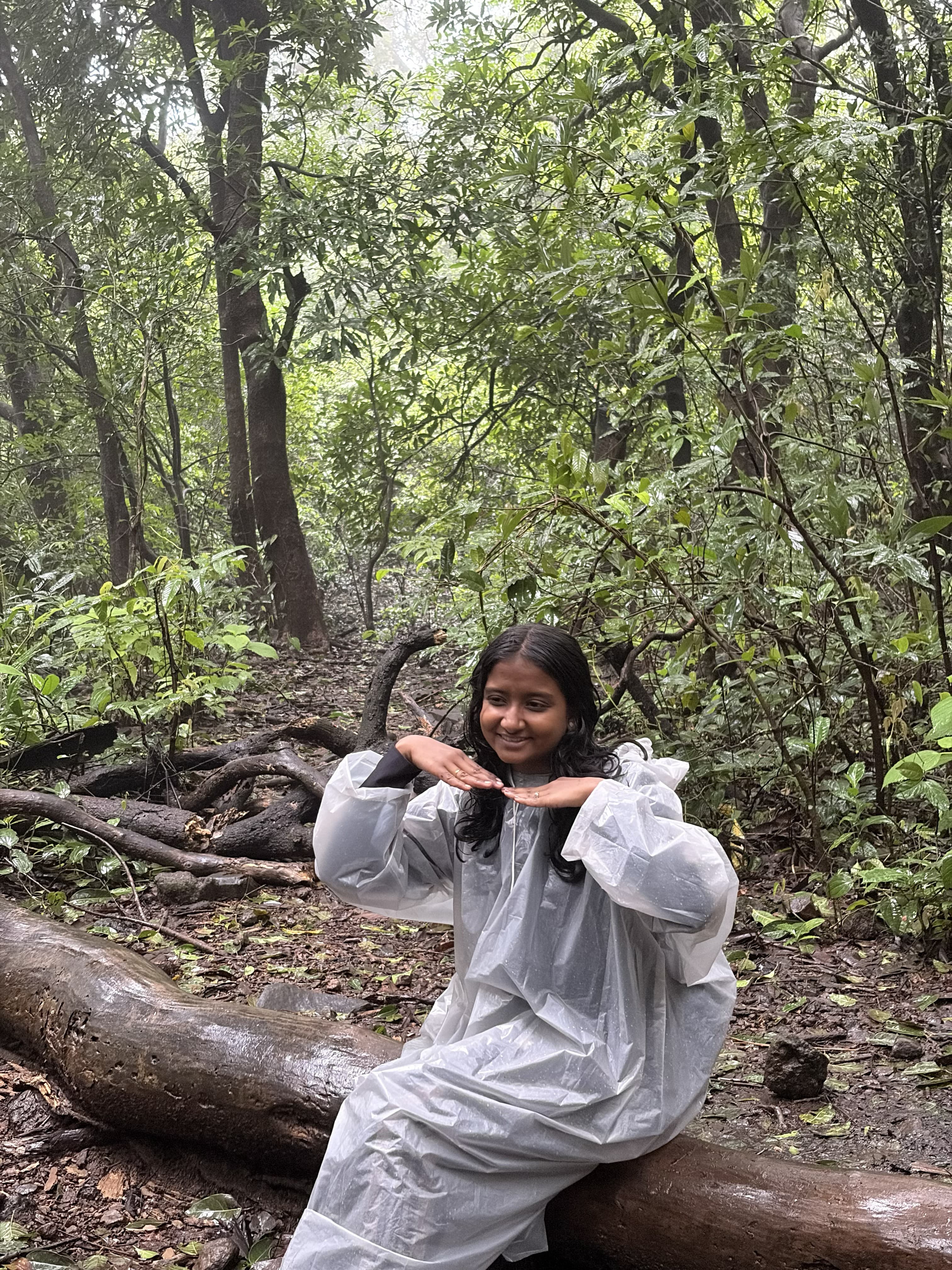 Monsoon streams