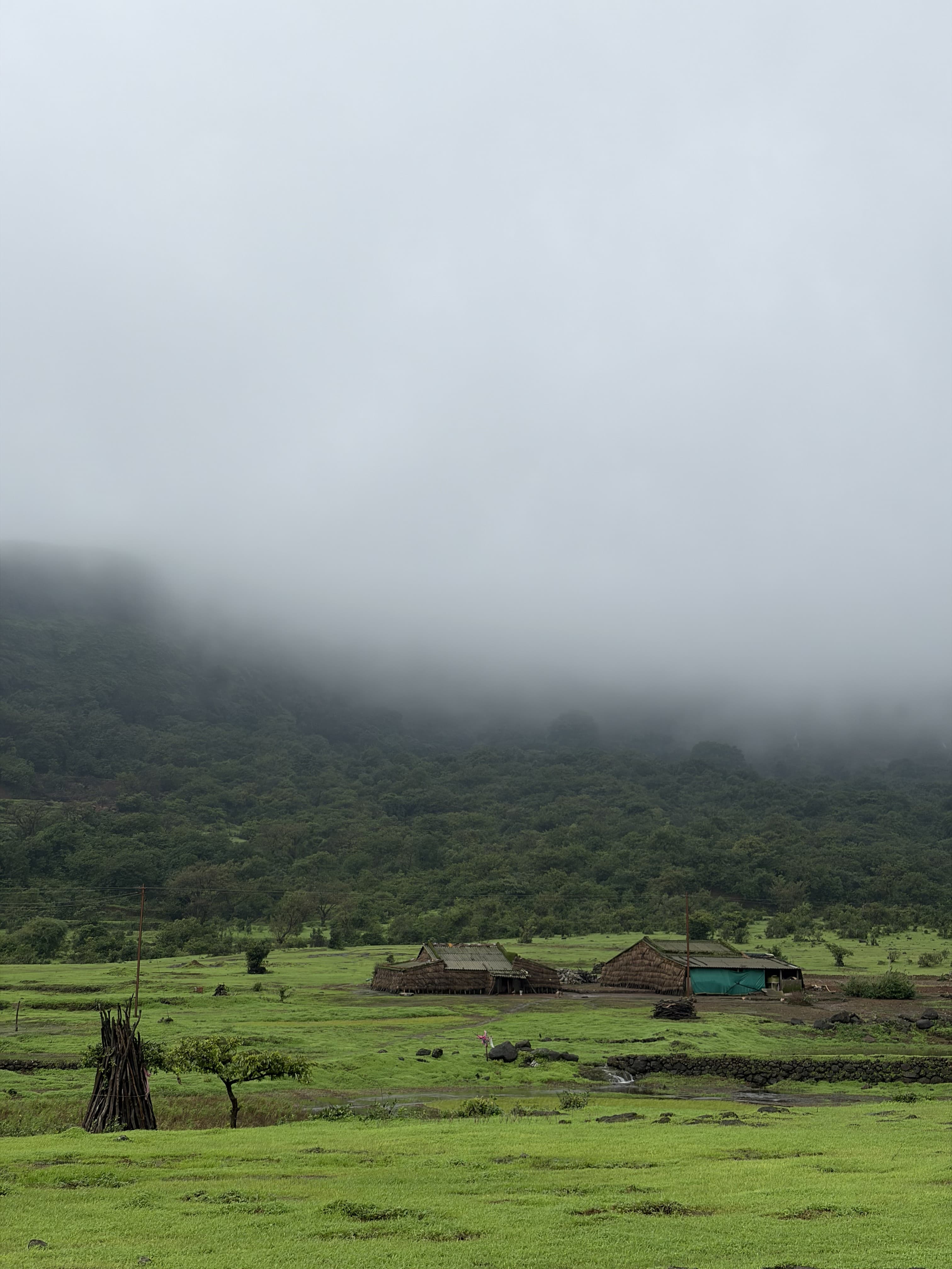 Monsoon streams