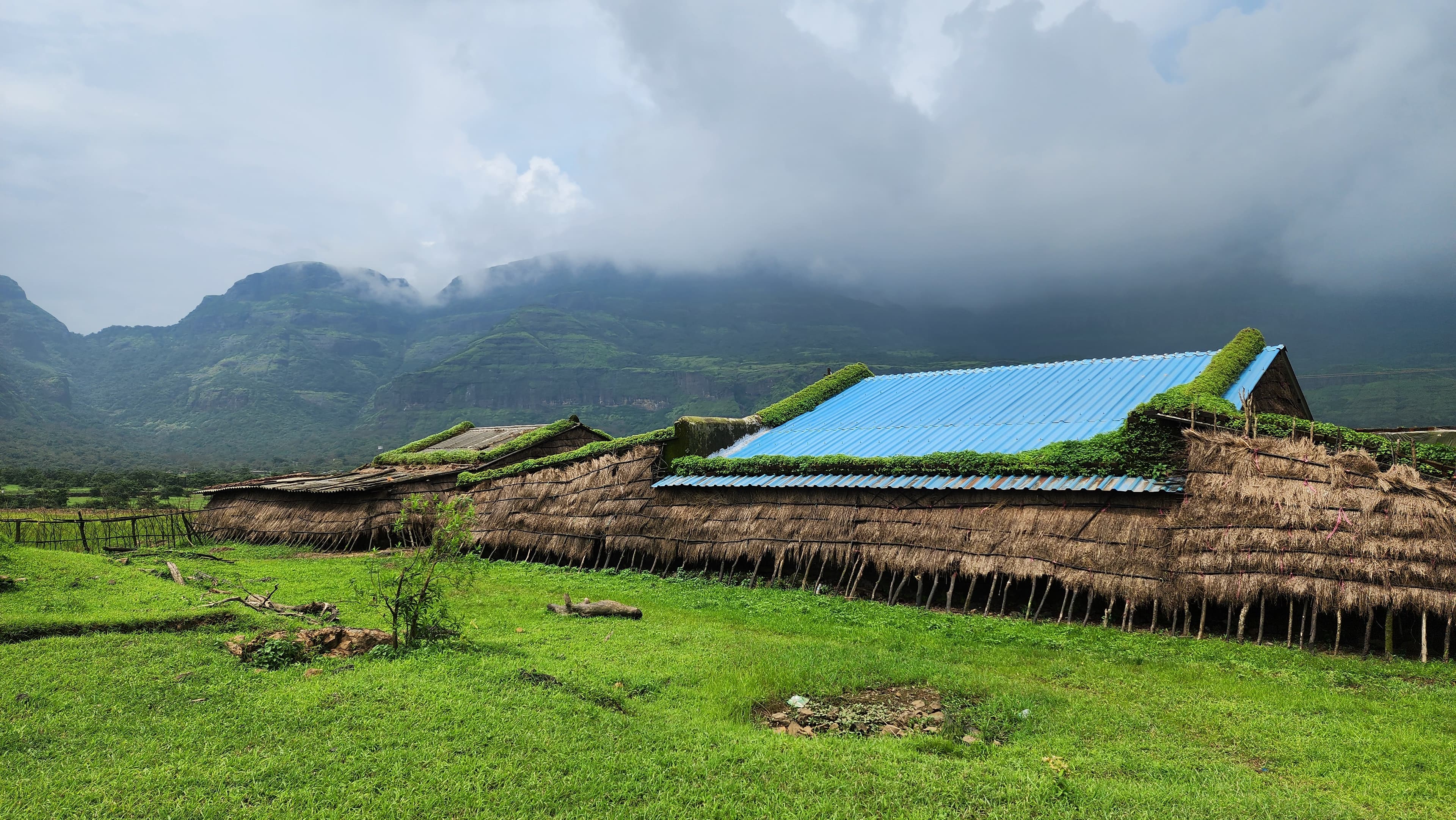 Monsoon streams