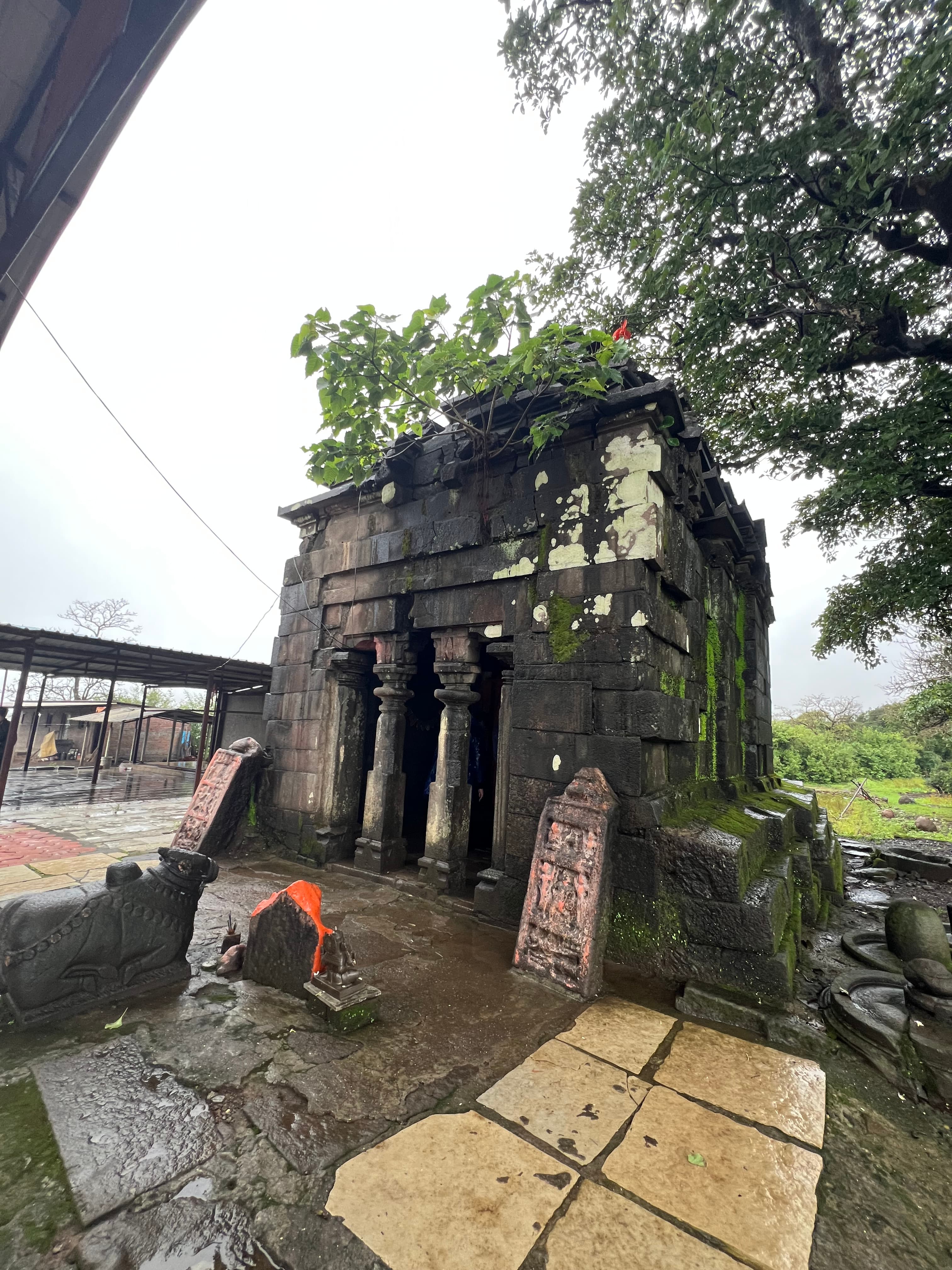 Monsoon streams