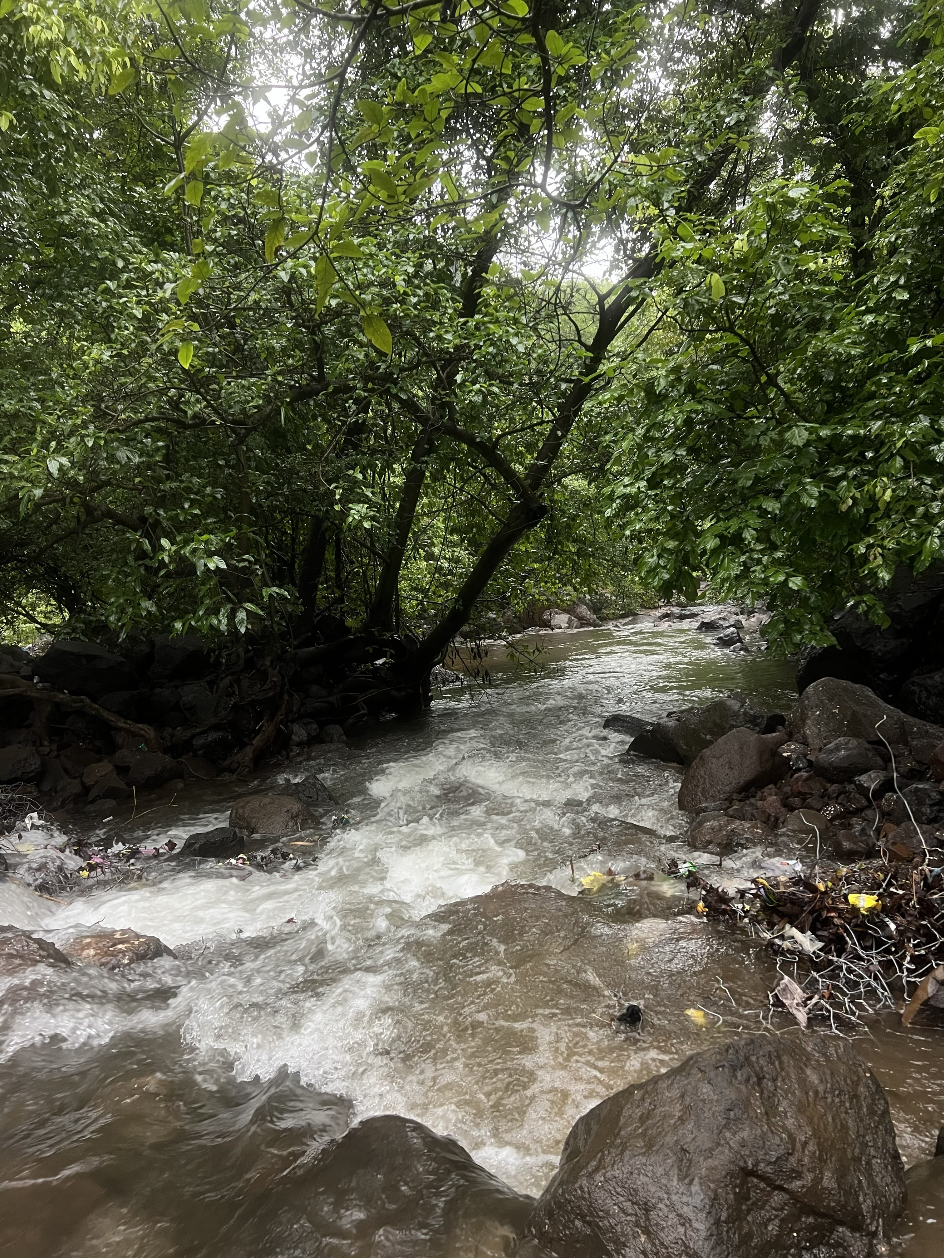 Majestic view of Kalu waterfall