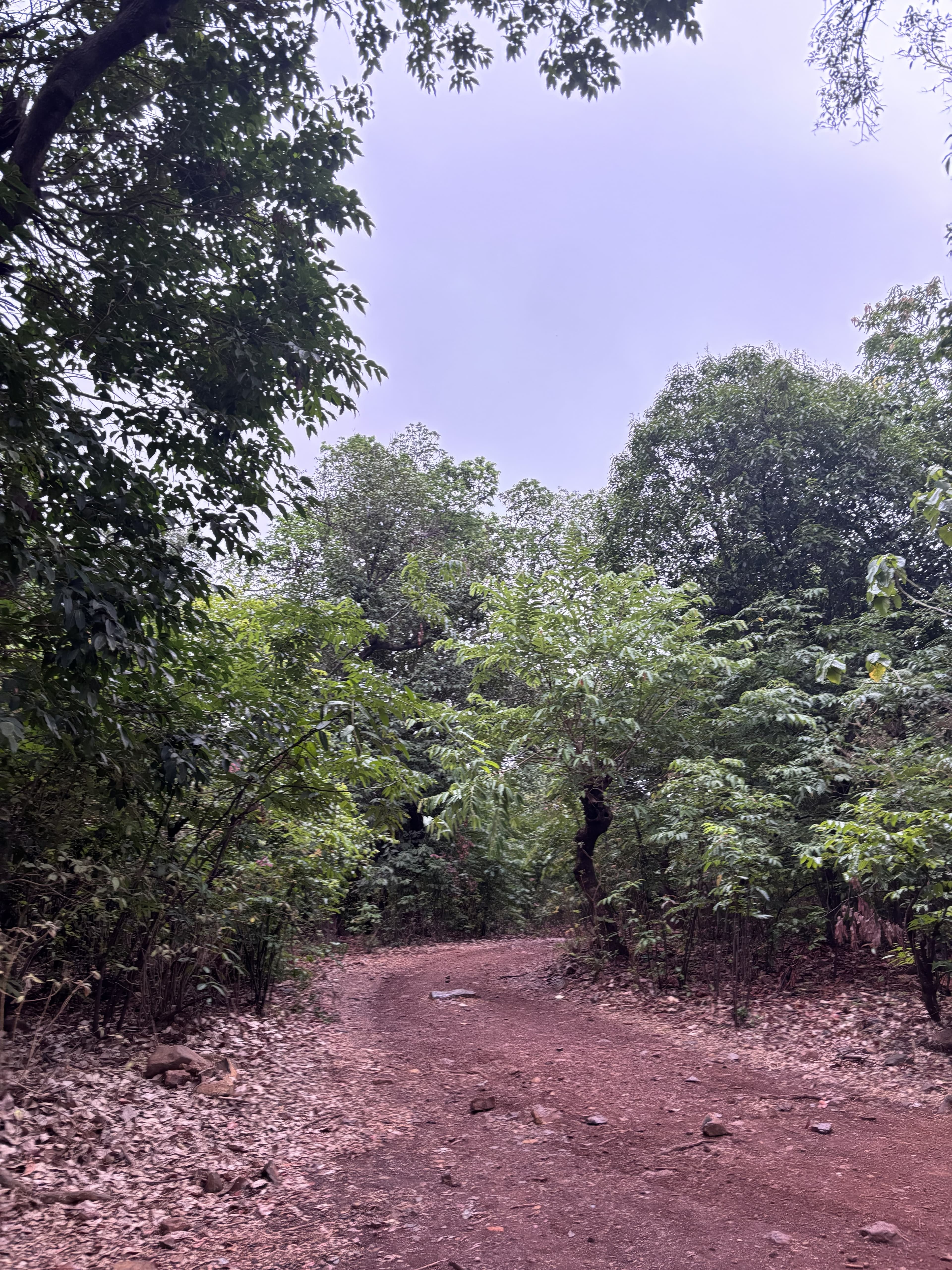 Morning brew